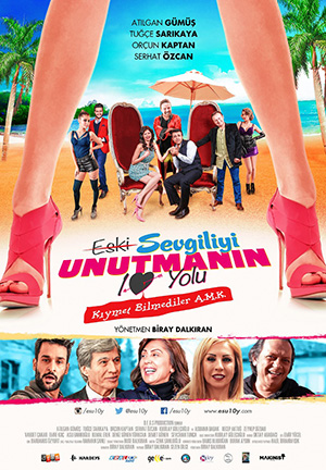 Eski Sevgiliyi Unutmanın 10 Yolu - Poster